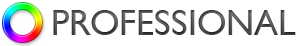 Professional Logo
